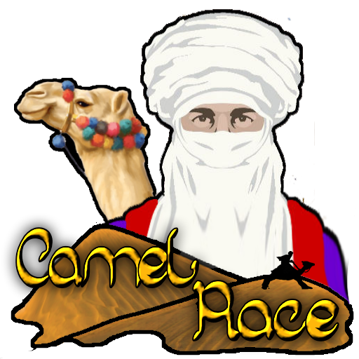 Camel Race Hd - Camel Race - Fair Game icon