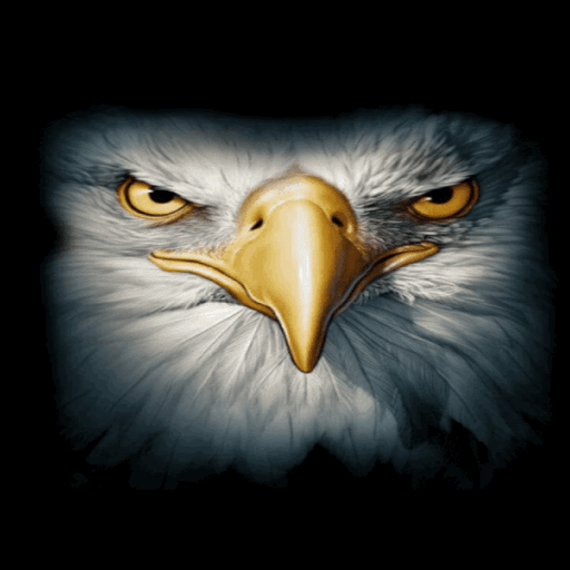 Eagle Face Live Wallpaper icon