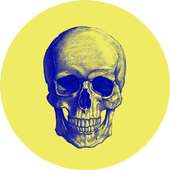 Anthropology on 9Apps