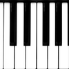 Piano Keyboard icon