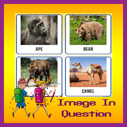 Image In Question icon