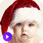 Funny & Comedy Video For What App