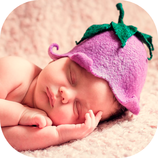 Mi Bebé en Desarrollo أيقونة