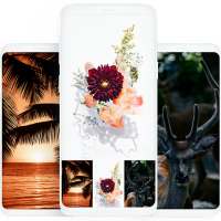 Wallpapers HD & 4K Backgrounds on 9Apps