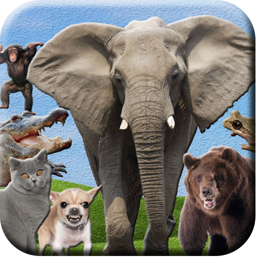 ABC Animal Sounds icon