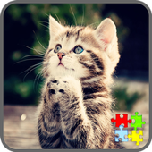 Cat Puzzles icon