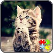 Cat Puzzles