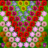 Bubble Flowers icon