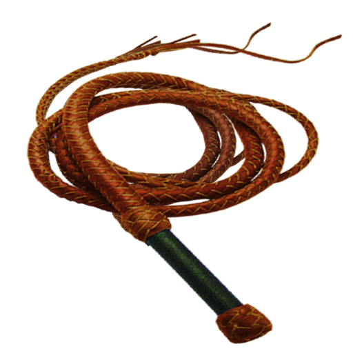 Whip Sound icon