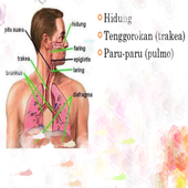 ikon Belajar Pernafasan Manusia