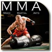 MMA Fighting Techniques