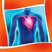 Berkeley Test أيقونة