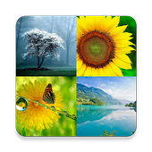 Nature Images أيقونة