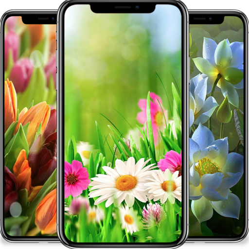 Flower Wallpapers 4K icon