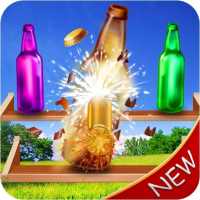 New Bottle Shooting :3D Simulator Game 2019