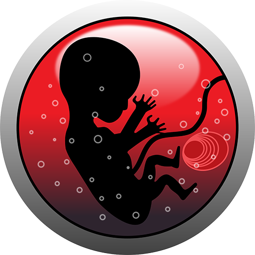 Pregnancy Calculator icon