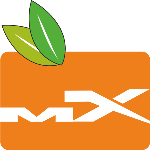 Model X 1.0 icon