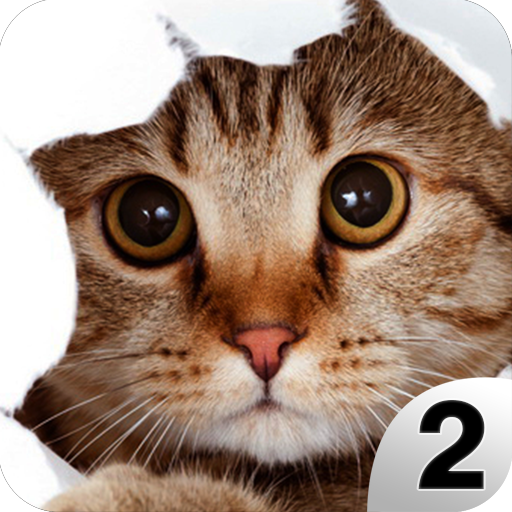 Find a Cat 2 - Hidden Object icon