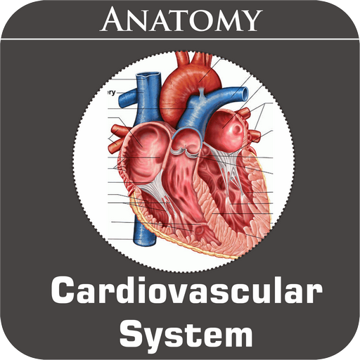 Cardiovascular System icon