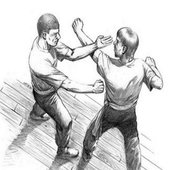 wing chun technique icon