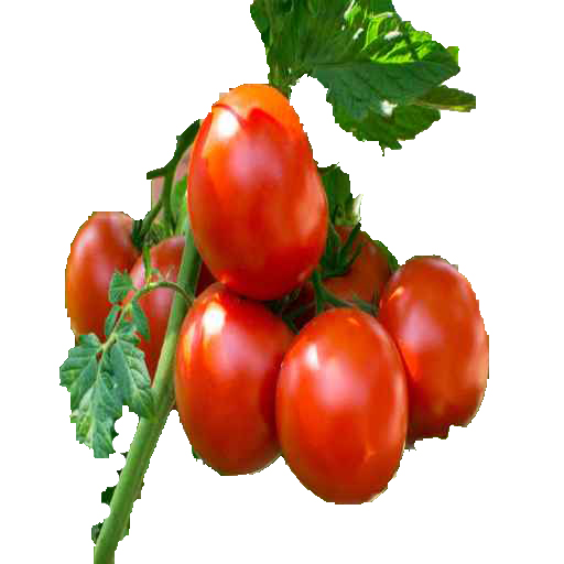 Agricultural App Kenya icon