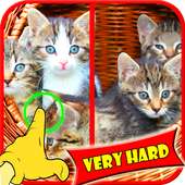 Find Difference Cat Games