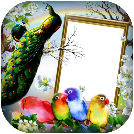 Love Birds DP for Insta/FB icon