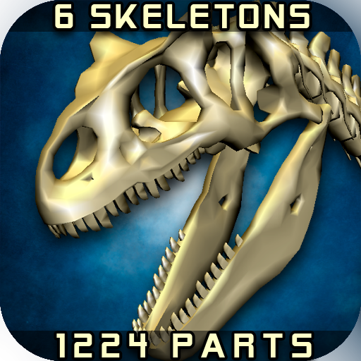 Body Disassembly 3D icon