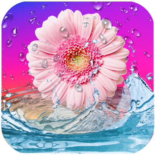 Daisies Live Wallpaper icon