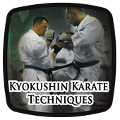 Kyokushin Karate Techniques icon