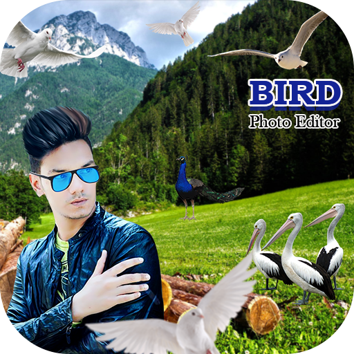 Bird Photo Editor : Cut Paste Editor icon