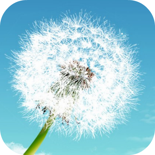 Quote of the Day icon