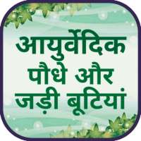 आयुर्वेदिक पौधे और जड़ी बूटियां - Ayurvedic Nuskhe on 9Apps