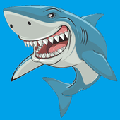 Shark Attack icon