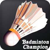 Real Badminton 3D