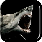 Shark 3D Live Wallpaper icon