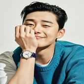 Park Seo Joon Wallpapers icon