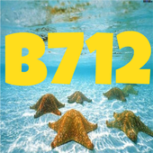 B712 Camera icon