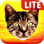 Pussy Malone Lite icon