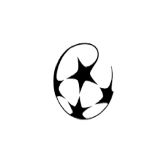 SUPER CORRECT SCORES icon