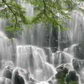 Wonderful wall of waterfall on 9Apps