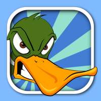 Duck Hunting Mania!