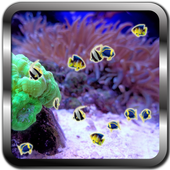 Aquarium Fishes live wallpaper icon