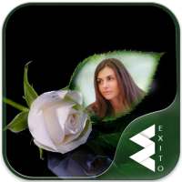 White Rose Photo Frames on 9Apps