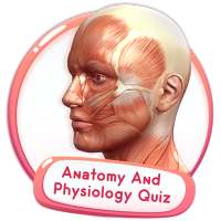 Human Anatomy And Physiology Quiz