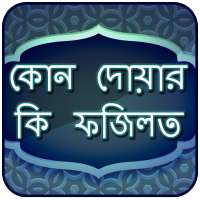 কোন দোয়ার কি ফযিলত - Dua App