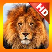 Kidzee Animals on 9Apps