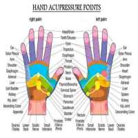 Acupressure Points in Hindi on 9Apps