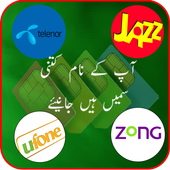 Check SIM Registration Verification Info icon