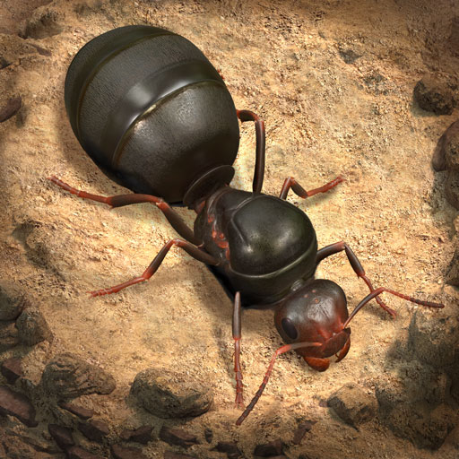 The Ants: Underground Kingdom icon